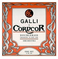 Galli RC-300 acoustic bass strings